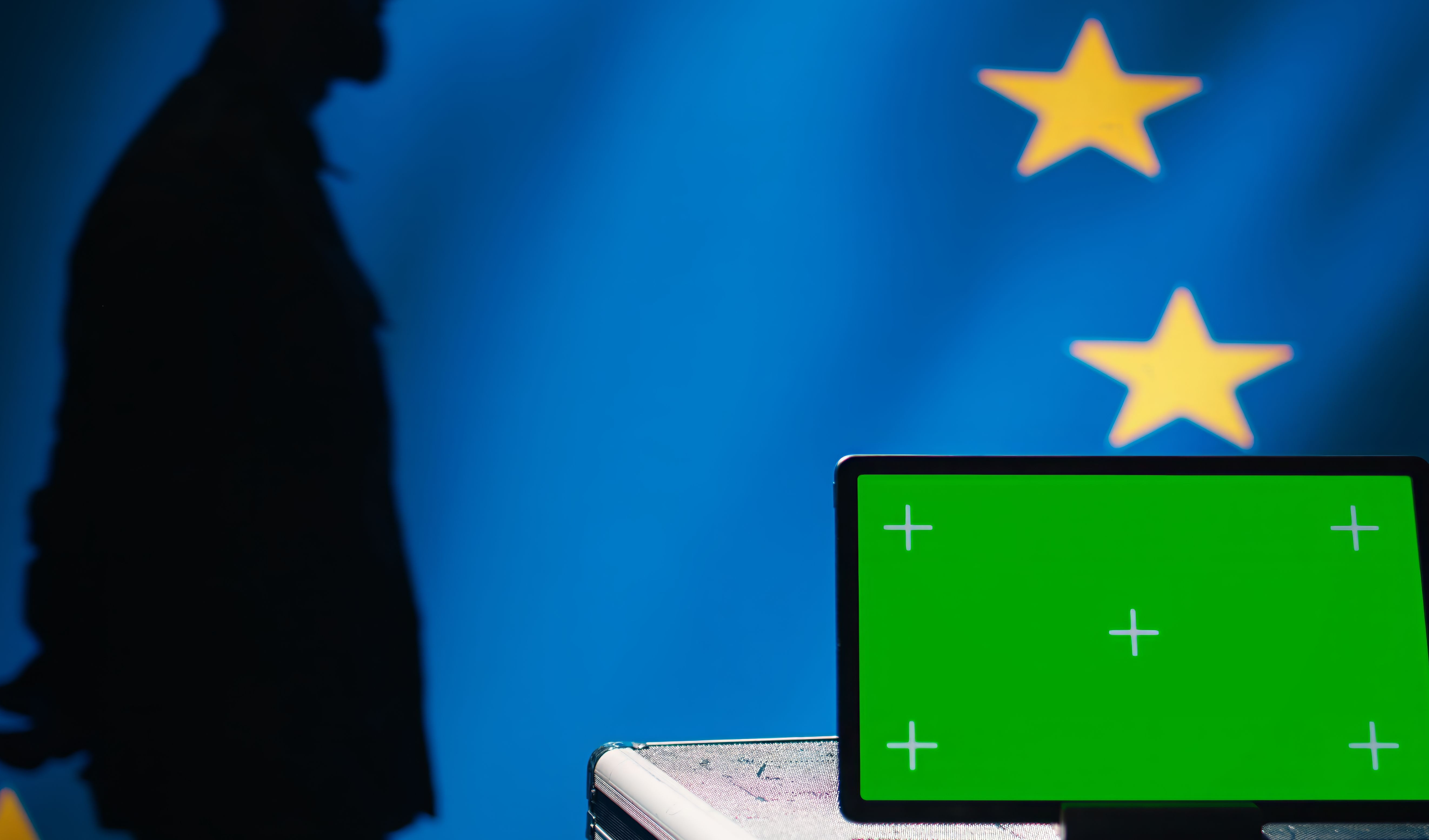 Bandiera dell’Unione europea con profilo umano e schermo PC