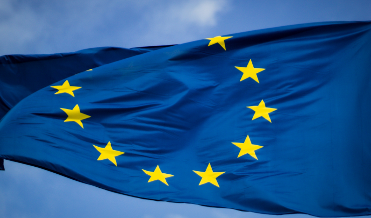 Bandiera dell’Unione Europea
